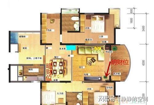 客厅财位放什么花最招财？过来人告诉你选这些