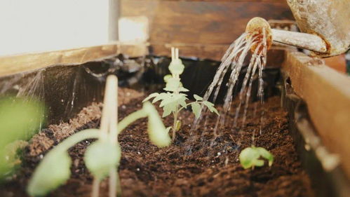 土壤里的定时炸弹