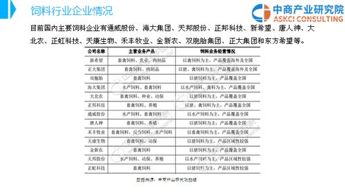 中国饲料市场年度报告显示，饲料年工作及工作计划中，有哪些关键指标未达标？