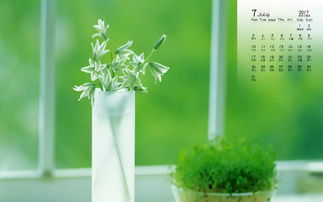 幼儿园的惊魂：曼陀罗的剧毒