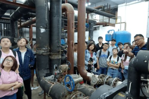 如何为畜牧师提供专业盆栽，优化养殖环境？