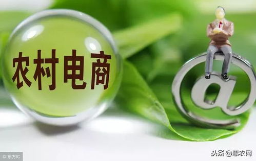 2019年农村赚钱新项目：利用互联网技术