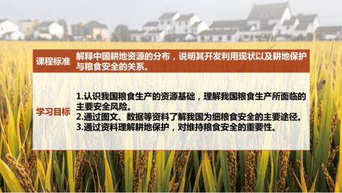 乙草胺——效果如何？