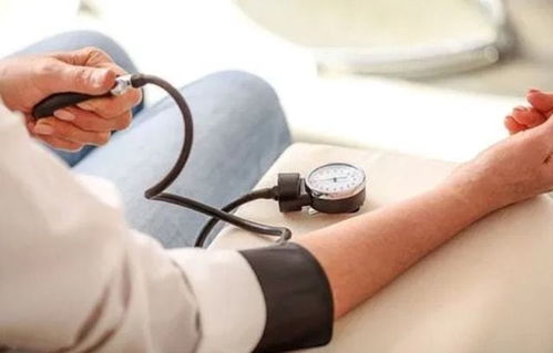 患有高血压、心脏病、胃溃疡等疾病者不宜食用人参