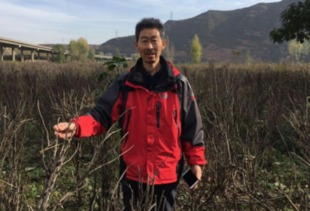新疆花生种植面积达10万亩，探讨其种植现状与影响
