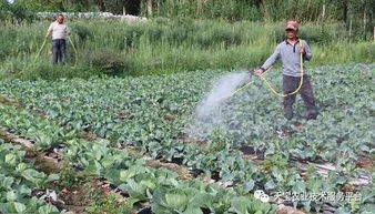 防范为主，防治结合