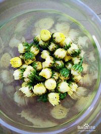 喝山菊花茶，对眼睛有好处吗