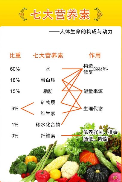 如何通过科学方法增加饲料蛋白质含量并提升其营养价值？