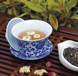 菊花茶过夜了还能不能喝？