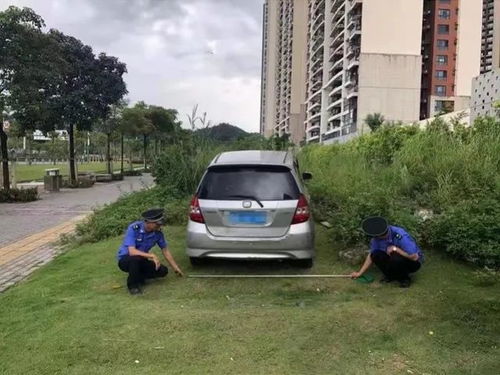 露天车位绿化选哪种草？停车不压坏还嫩省50%维护费！