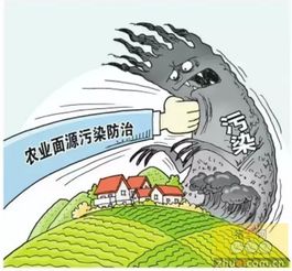 绿色养猪新路径：粪污资源化