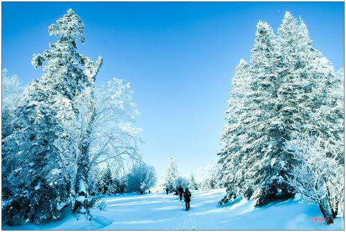 施肥的技巧，那得讲究