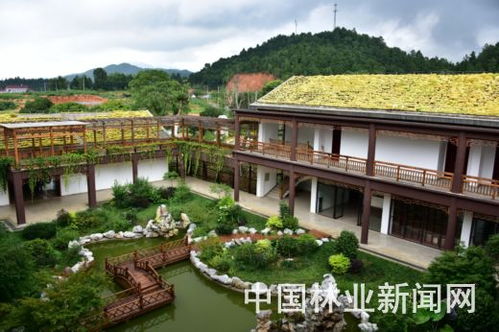 荣兴苗木：新品种的诞生与市场竞争力提升之路