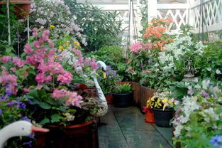 南方庭院四季开花植物盘点， 美的不要不要的