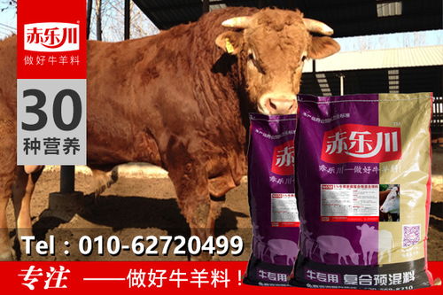 饲料厂专用预混料中，哪些成分对猪饲料的营养价值提升最为关键？