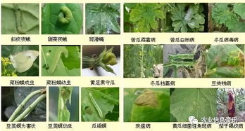 第一步：准备材料