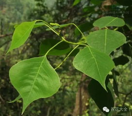 环保又健康，一举两得