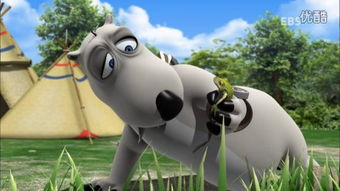 倒霉熊：一部充满霉运的喜剧之旅