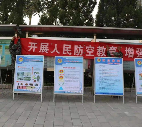 沙糖桔清园，冬日里的小呵护