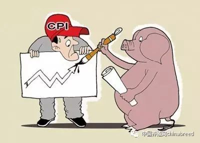 猪价飙升遇消费骤降，养殖市场面临双重压力