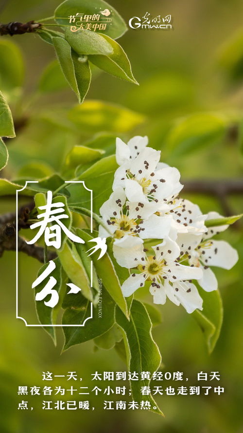 四季常青， 竹子显精神