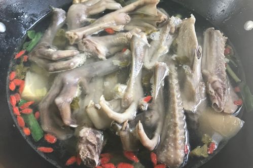 白鹅掌养护之道：美味与健康同行