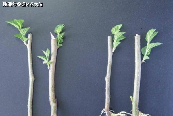 经验分享：从失败中汲取教训