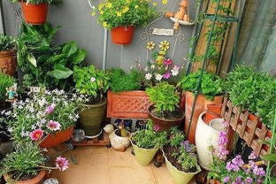 不同花草需不同修剪方式