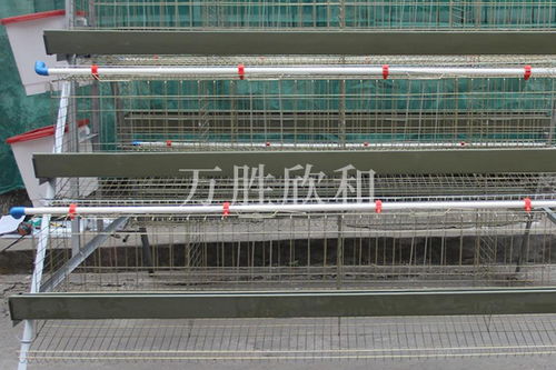 选购农业养殖设备，关注质量、适用性、维护成本