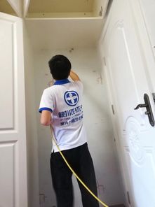 树派环保除甲醛，效果究竟如何？