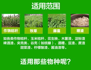 如何选择秸秆饲料发酵剂降低成本，实测对比省200元/亩提速5天秘诀？