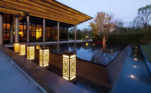 黑色植物的误区