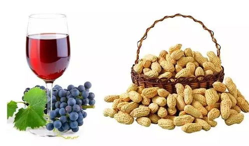 食物的黄金搭档， 营养翻倍