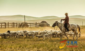 锡林郭勒牧民发明