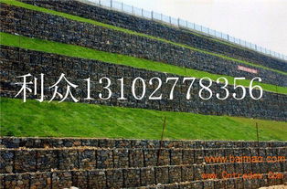 这些植物是护岸杀手， 见到赶紧绕道走