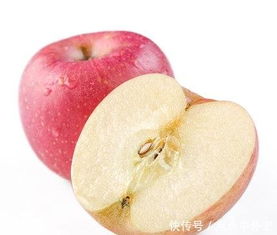 新型果树病害综合防治技术