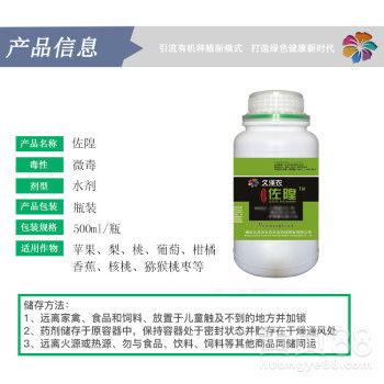 一、甜瓜角斑病是个啥？