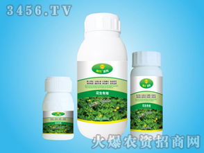 花生种植小窍门：叶面肥与除草剂的喷施顺序
