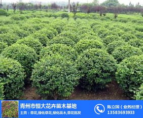 水与肥的微妙平衡