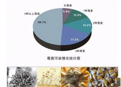霉菌毒素中毒有多严重？哪些救命知识能预防？