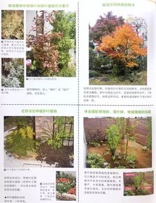 “在《探寻友谊的花园》这篇文章中