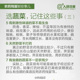 农药残留那些事儿