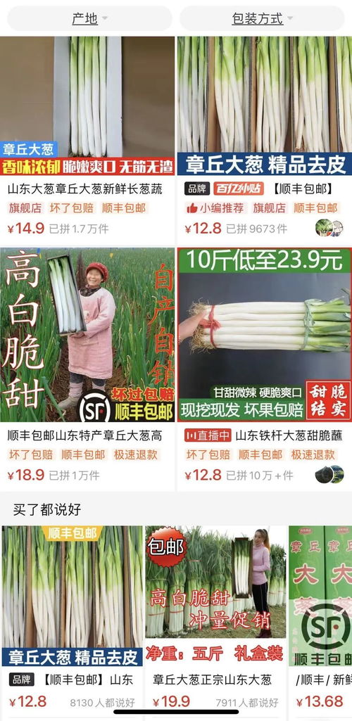 揭秘大葱叶内神秘粘液：农业专家揭秘其独特功能
