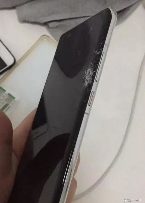 吃瓜子惊吓摔坏苹果6，苹果6屏幕破裂