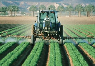 喷粉法：简单又实用