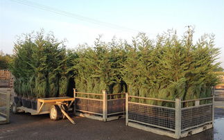 长期合作与实地考察