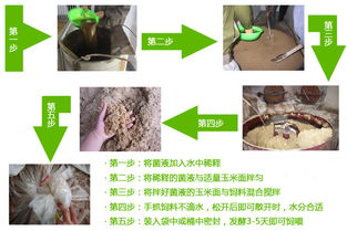 猪饲料中含哪些有害物质？添加了哪些激素和成分？人食用后会有哪些危害？