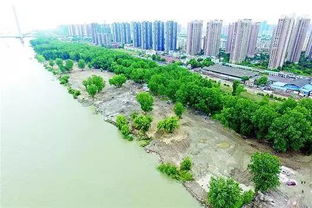 哪家企业Zuo得好， 难说难说