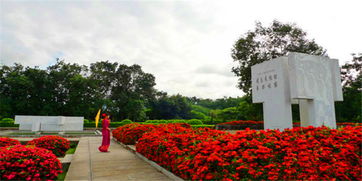 探寻西双版纳热带花卉园的大广场之谜