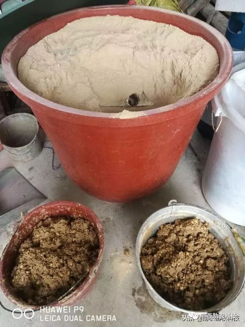 食品发酵的本质是什么在发酵饲料生产工艺中如何体现？